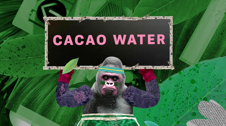 Cacao Water - Blue Stripes